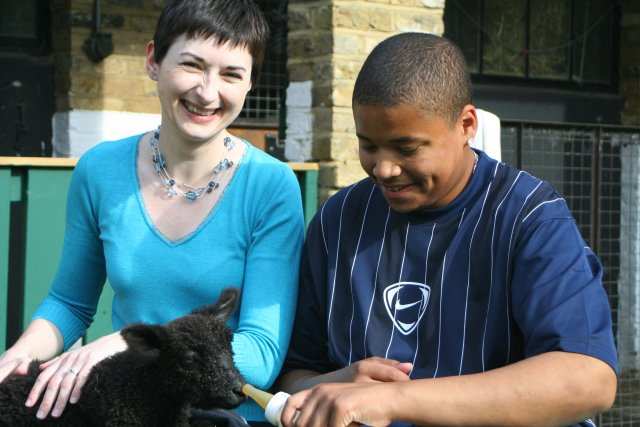 Adopting a lamb at Vauxhall City Farm